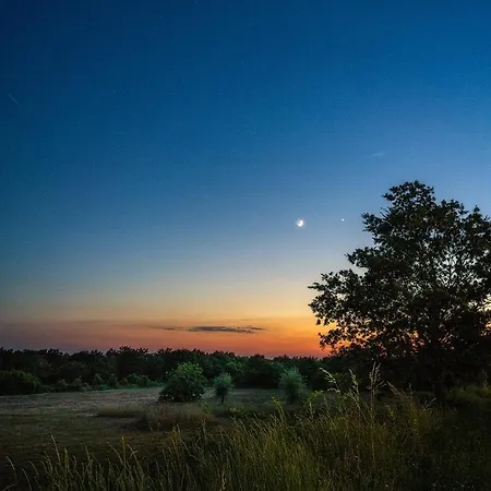 Willa Beautiful Istrian With Private Pool And Private Parking
